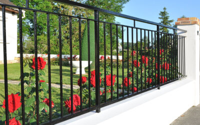 Éclairage extérieur intelligent : sécurité et ambiance pour votre propriété angevine