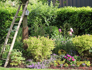 Vue d'un jardin arboré, bien entretenu avec des fleurs