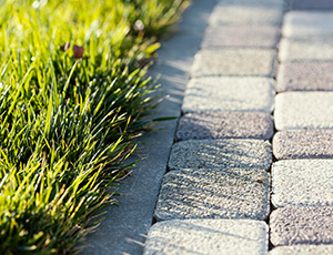 Dallage jouxtant une pelouse, devant l'entrée d'une entreprise